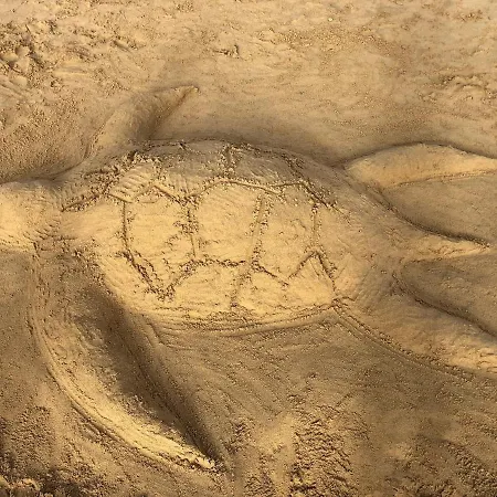 H - Village Olhos de Agua (Albufeira)