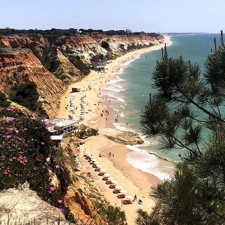 H - Village Apartamento *